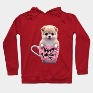 Happy Valentine'Day Hoodie